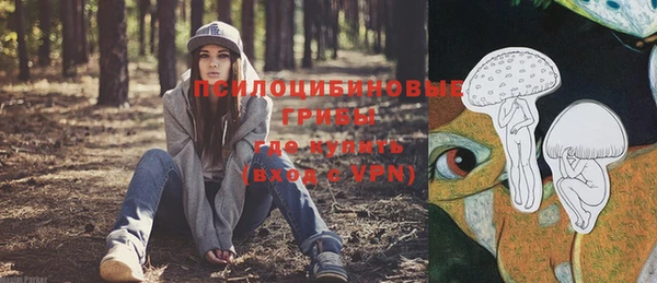 ПСИЛОЦИБИНОВЫЕ ГРИБЫ Бородино