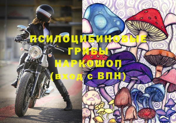 ПСИЛОЦИБИНОВЫЕ ГРИБЫ Бородино