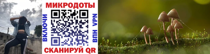 ОМГ ОМГ онион  Бородино  Псилоцибиновые грибы мухоморы  наркота 